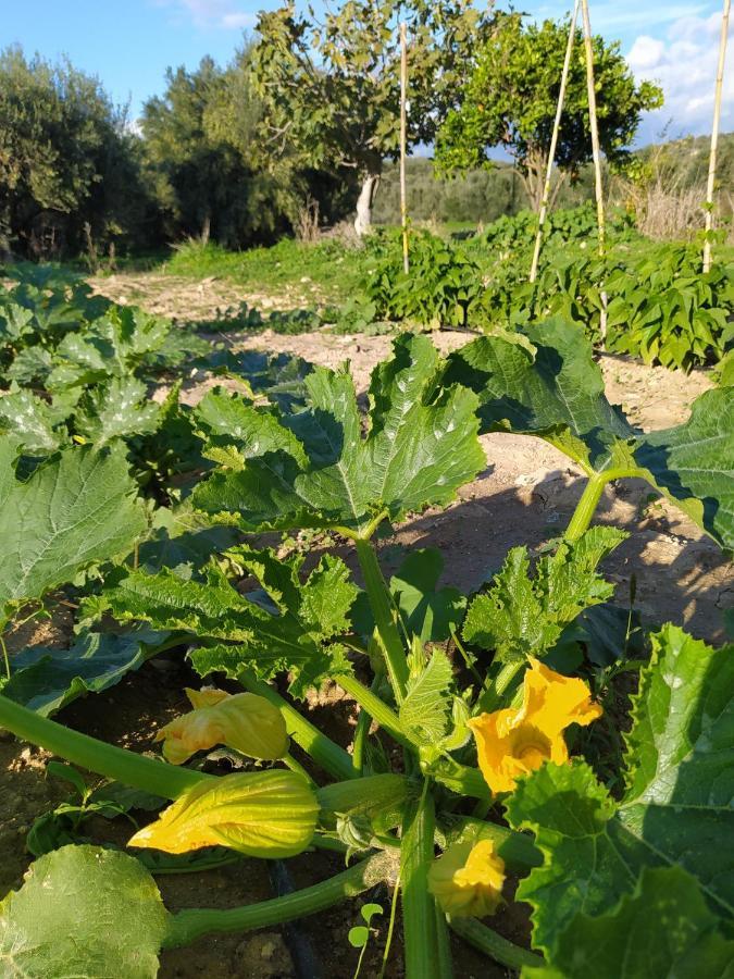 Myparadise-Farm Villa In The Centre Of South Crete คาลามากิ ภายนอก รูปภาพ