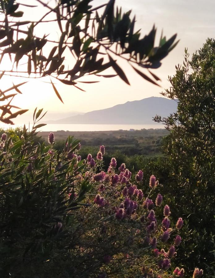 Myparadise-Farm Villa In The Centre Of South Crete คาลามากิ ภายนอก รูปภาพ