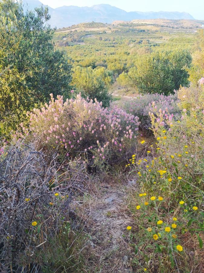 Myparadise-Farm Villa In The Centre Of South Crete คาลามากิ ภายนอก รูปภาพ
