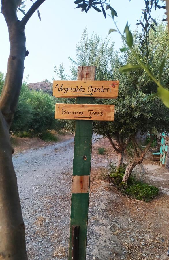 Myparadise-Farm Villa In The Centre Of South Crete คาลามากิ ภายนอก รูปภาพ